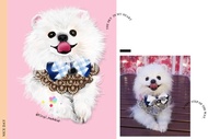 寵物狗畫像肖像畫毛孩似顏繪((博美/浪浪/幼犬/Pomeranian/松鼠狗