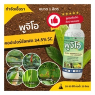 copper sulfat 35.5% SC 500ml  Pugio Brand from Nufarm