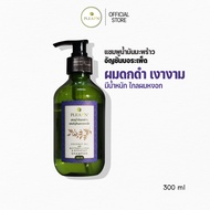 PLEARN แชมพูน้ำมันมะพร้าวอัญชันและบอระเพ็ด 300 ml  ลดผมร่วง ชะลอผมหงอก ผมเงางาม มีน้ำหนัก ยาสระผมอัญ