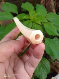 Pipa once iga duyung 12.cm model segi 6