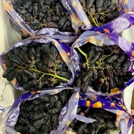 buah anggur hitam panjang/USA LONG BLACK GRAPESS AUTUMN SEEDLESS 1 kg