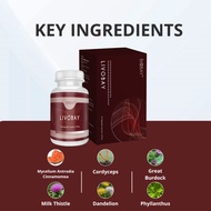 BIOBAY  LIVOBAY 60'S