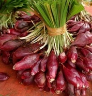 BAWANG DAYAK BASAH SEGAR 1 KG