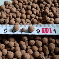 2 litre small LECA balls (from SG)