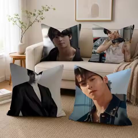 C-Cha E-Eun U-Woo Cushion Cover Linen Double-sided Printed Cushion Cover, sofa pillow case，Nordic Ho
