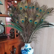 Natural Peacock Feather Peacock Feather Today New Arrival Feather Decoration Vase Etc. Peacock Feath