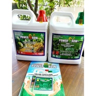 Power Grow Organic Foliar Fertilizer Green &amp; Red 4 LITERS for Growth Booster &amp; Fruit Flower Enhancer