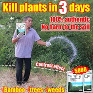 【3 Seconds to Remove Big Trees】500g Tree Killer Chemical Hexazinone Root Removal Kill Tree and Bambo