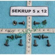 5X12 MOTORCYCLE SCREWS