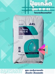 🔥ปุ๋ยเกล็ด 0-0-61 🔥Potassium Chloride สูตร บำรุงผลผลิต เร่งแป้ง ลงหัว กระสอบ 25 กิโลกรัม