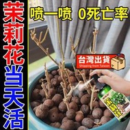 【樂樂屋】【花肥】0死亡率】茉莉花肥料 專用肥 專治枯萎不開花促發芽家用植物營養液