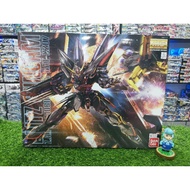 BANDAI 1/100 MG GAT-X207 BLITZ GUNDAM