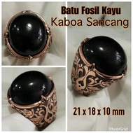 batu fosil kayu kaboa sancang asli no tapak jalak junder galih kelor