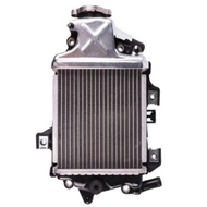 RADIATOR TANGKI AIR LOCAL TANK WATER VARIO 150 V1 NVX V1 N-MAX