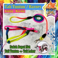 Harness Tali Tuntun Anjing - Kucing - Musang - Otter - Kelinci - Hewan