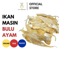 🔥Ikan Masin Bulu Ayam 1kg Ikan Kering Bulu Ayam Ikan Bulu Ayam Kering Ikan Bilis Bulu Ayam Ikan Masi
