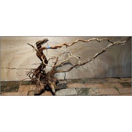 [ready stock @ shah alam] driftwood aquascape / azalea wood / kayu hiasan - code A5