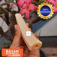 Once iga duyung model belimbing kuning kristal bayar ditempat