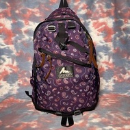 85% new 美國製 Gregory daypack Purple paisley backpack 紫色腰果花拉鏈背囊  書包 背包 26L zippers backpack