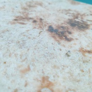 Roti Khubz Arab Gandum original