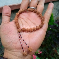 gelang tridatu jenitri rudraksha 8-10mm 12-14mm - 8-10mm