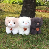 Charmie | Cat Doll Premium Cat Doll REAL PICTURE Gift Birthday Gift Cat Pets Children's Toys