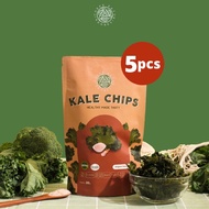 (Bundle Of 5) Original Kale Chips | Kale Himalayan Vegetable Chips (5x20 grams)