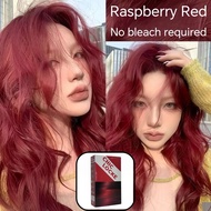 【SG ships】plant extract hair dye, 2 * 100ml, partially able to cover white hair, free gift: 3pec*10g