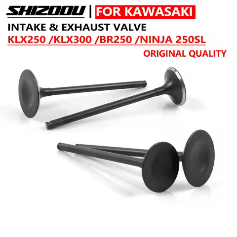Motorcycle Intake Exhaust Valves Engine Part For Kawasaki KLX 300 KLX300 Engine KLX 250 KLX250 KAWAS