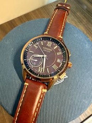 Citizen CC3052 gps  satellite watch 星辰 gps手錶