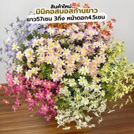 (1 Rod) Mini Cosmos Long Rod Vip Work 57 Cm Star Flowers 3 Branches 4.5 Artificial