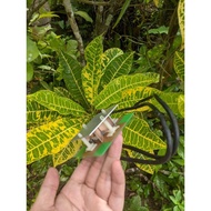 antenna kathrein pentaband 3G 4G antenna signal CLEAR STOCK