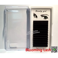 Eyelash Extension Blooming Lash 0.05DD / 0.07DD Mix Size (1) Box