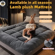 10CM Thicker Lamb Plush Mattress Dual Purpose Tatami Mattress Single Queen King Super King Size Matt