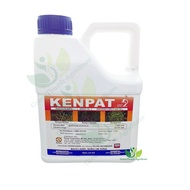 KENPAT 4L/KENSO/ RACUN RUMPUT /Glufosinate-ammonium 5.66% ( Sama TEPAT/BUICK/RAINPAT)