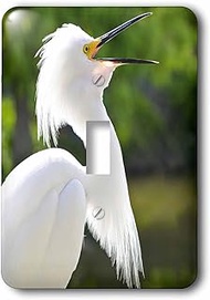 3dRose lsp_143711_1 Snowy Egret Bird, Everglades, Florida, Usa Us10 Mde0023 Michael Defreitas Single