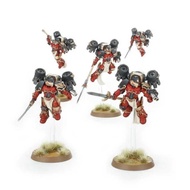 BA-08  Blood Angels - Dawnbreaker Cohort