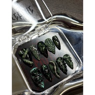 Rebelle Handmade Press-On Nails (Extreme 3D)