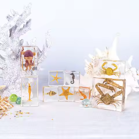 Hermit crab,Black skirt tetra,Calappa,Ocean Specimens: Crab & Hermit Crab Resin Artworks, Unique Dec