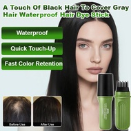 Waterproof hair dye stick to cover gray hair/hair coloring pen/Waterproof And Sweat-Proof Hair Dye C