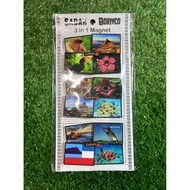 Sabah souvenir Magnetic Fridge