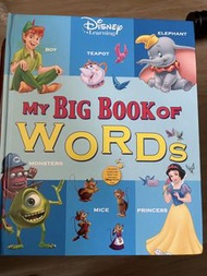 Disney My Big Book of Words Learning Book