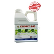 Kingpat 4 Liter Glufosinate-Ammonium 5.66% (Same As Buick 5.66 Rainpat 566 Tepat) Racun Rumpai Rumpu