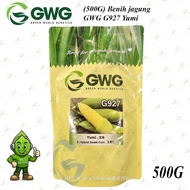 (+-500g) GWG 927 YUMI SWEET CORN/F1 BENIH JAGUNG VIRAL/BENIH JAGUNG MANIS/BENIH JAGUNG HIBRID/HYBRID