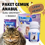 PAKET GROWSSY SUSU KUCING BIGMAX VITAMIN PENGGEMUK KUCING NAFSU MAKAN VITAMIN GEMUK KUCING