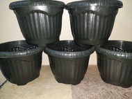 5PCS round and big plant pot (9x7inches) - 30 pesos each - pots for plants - paso