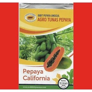 Benih betik California big pack