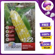 BENIH JOM TANAM JT122 (30 SEEDS) DOUBLE JOY SWEET CORN BI-COLOR/JAGUNG MUTIARA/DWI COLOR/FATIMAH/ 双喜