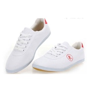 ஐ Classic Martial Art Shoe White Sneakers Canvas Wu Shu Shoe tenis masculino Taekwondo Breathable Sn