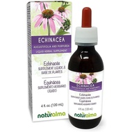 Naturalma Echinacea (Echinacea angustifolia and purpurea) Root and herb Alcohol-Free Tincture - 4 fl